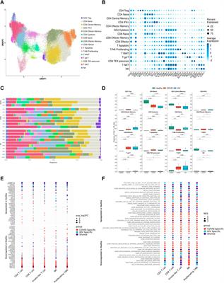 A single-cell atlas reveals shared and distinct immune responses and metabolic profiles in SARS-CoV-2 and HIV-1 infections